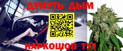 гидра Нальчик