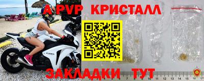 гидра Нальчик
