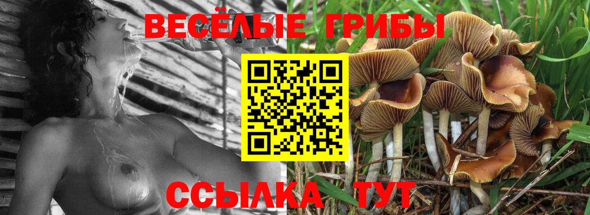 Галлюциногенные грибы Magic Shrooms  Галлюциногенные грибы Magic Shrooms  Хабаровск  Вход с VPN 