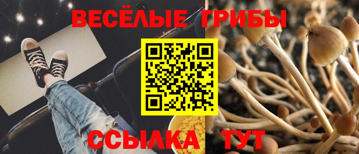 Псилоцибиновые грибы Magic Shrooms Хабаровск